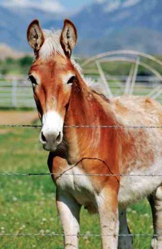 Mail Call: July-August 2009